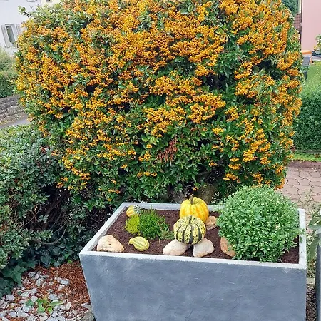 Apartment Auszeit